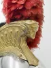 French Enlisted Dragoon Helmet model 1874 Visuel 7